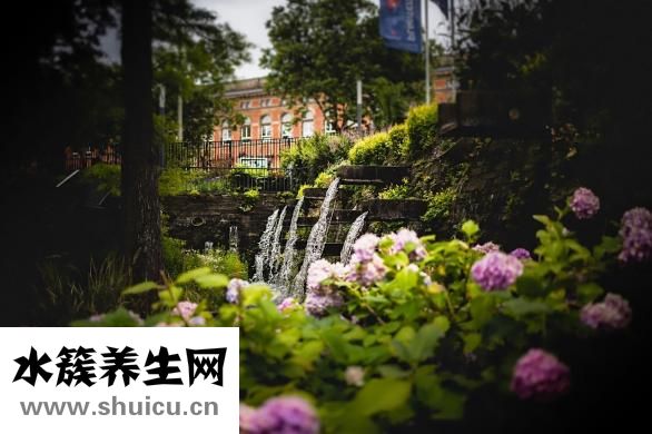 怎么找學(xué)術(shù)文章