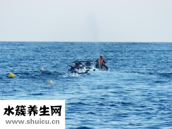 海水白點病怎么治療