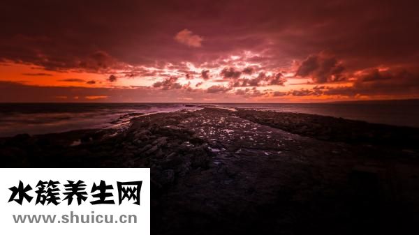 被海蜇咬了怎么辦