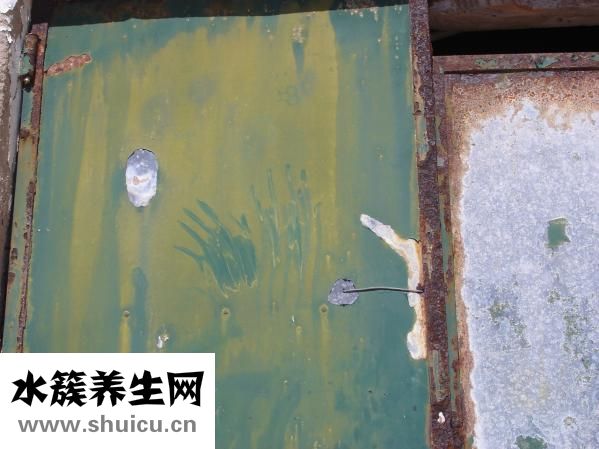 灰塵螨蟲過(guò)敏怎么辦