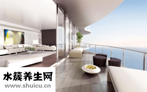 怎么把蒼蠅哄出屋子