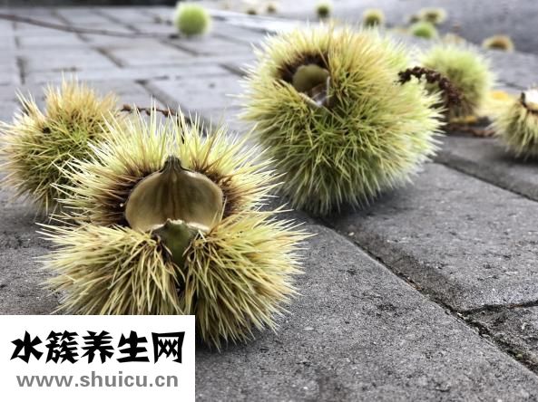 糖炒栗子怎么剝