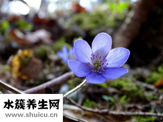 導尿管不導尿怎么辦