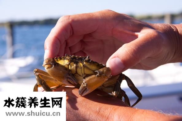 魚刺扎進手指怎么辦