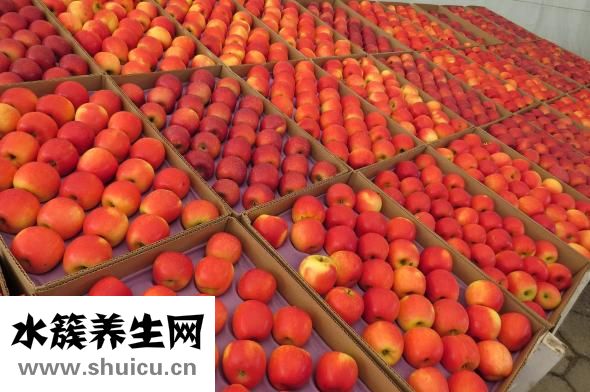 孕婦體重過快怎么辦