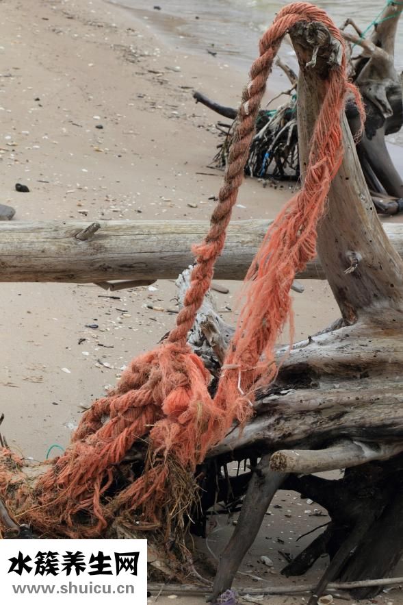 胎糞污染怎么辦