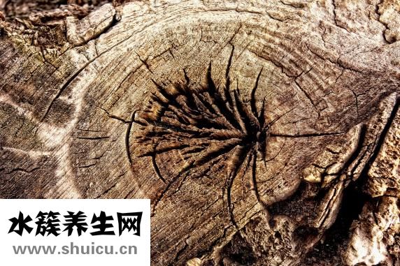 女生長得丑怎么辦