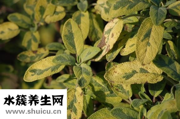 淘寶怎么寫備注