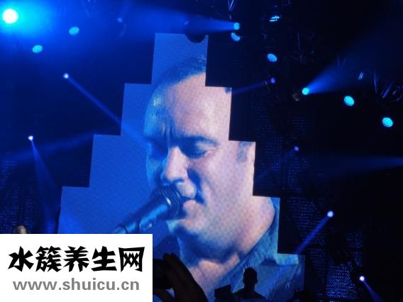 怎么不用假音唱高音