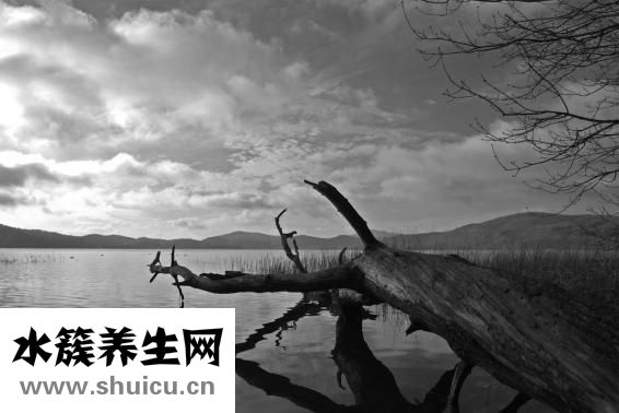 白癜風怎么治療快