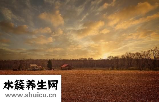 頭發太少太細怎么辦