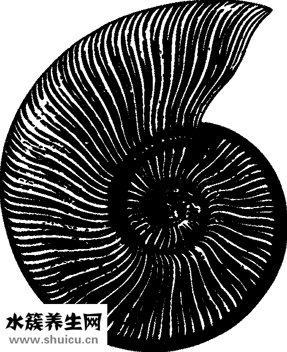 怎么治療脊椎病