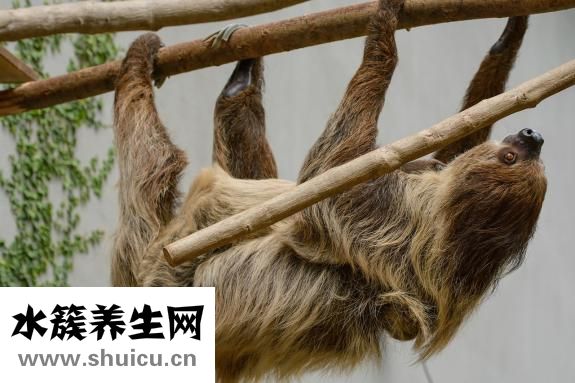 陰道內壁破怎么辦