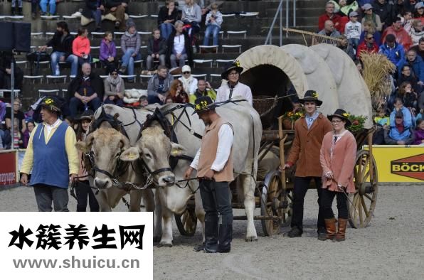 個人健康聲明怎么寫