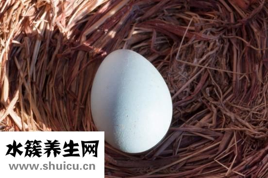 微波爐怎么蒸蛋