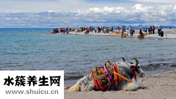 牦牛干巴怎么吃