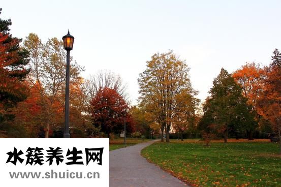 木桶發霉了怎么處理