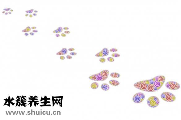怎么煮寬粉能快熟