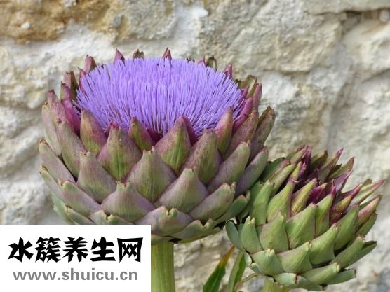 姬瑤花怎么變壞的