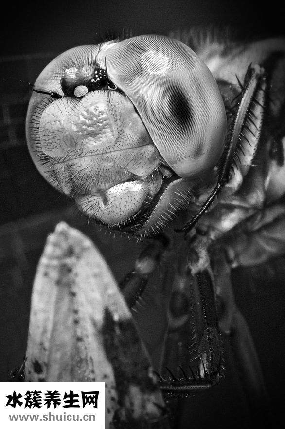 吊頂圓頂怎么吊