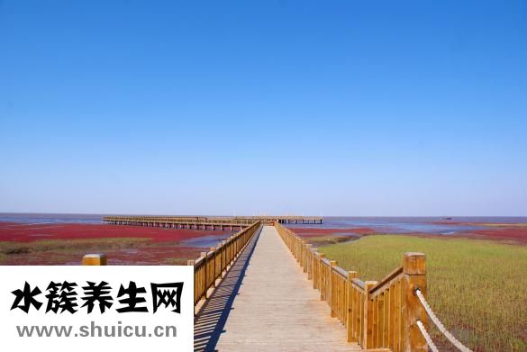 熟河蟹怎么保存