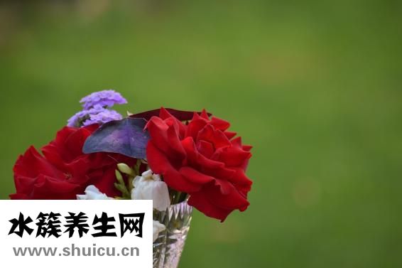 怎么大聲吹口哨