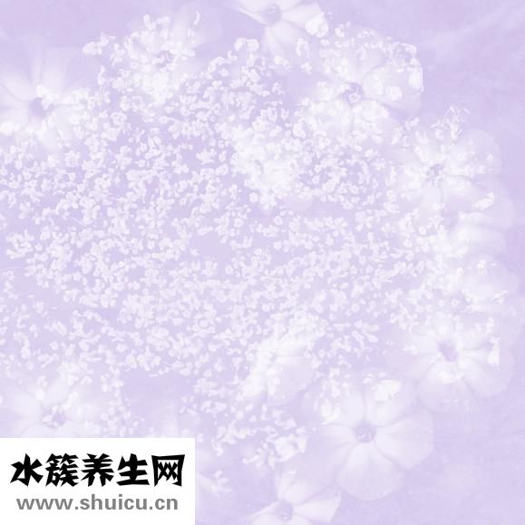 怎么預(yù)防黃疸