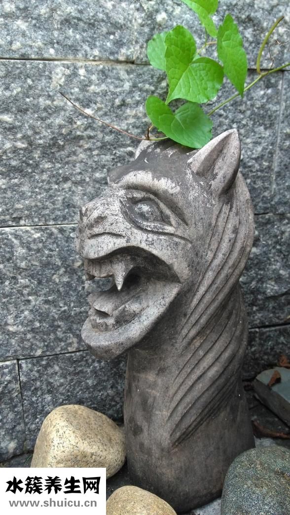 怎么操都不過癮