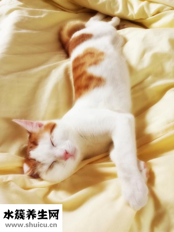 兒童打呼嚕怎么治療