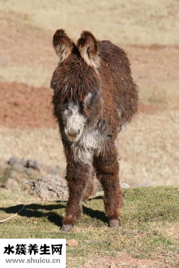 怎么預(yù)防黃疸