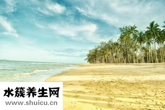 頭發太少太細怎么辦