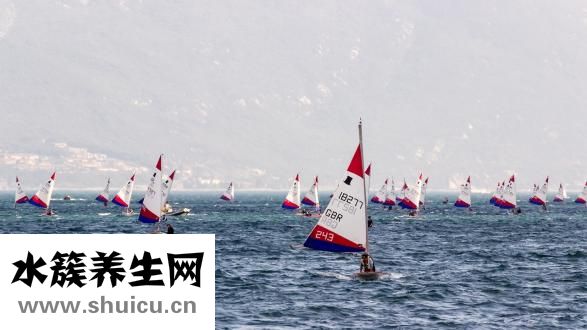 臂力器怎么選擇