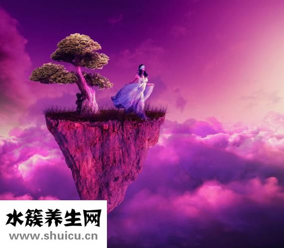 個人健康聲明怎么寫