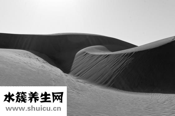 怎么辨別野生甲魚