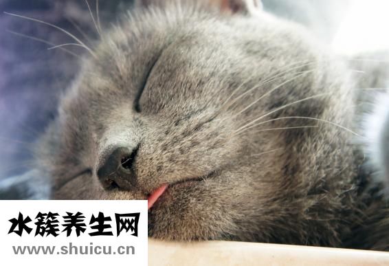 睡覺時怎么把人弄暈