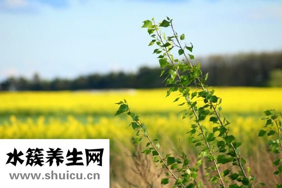 失戀了怎么安慰她