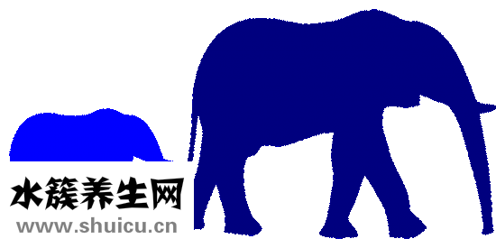 怎么預(yù)防黃疸