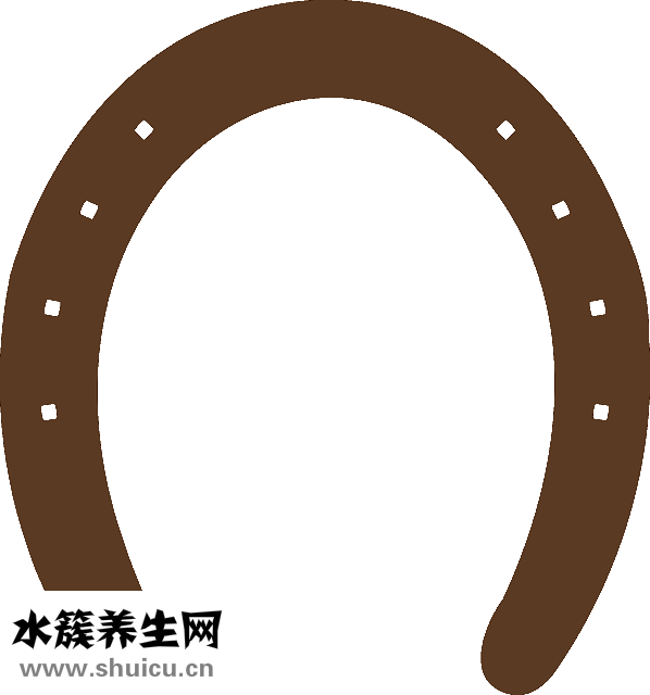 怎么判斷魚的年齡