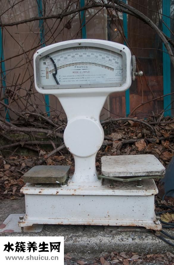 大腿和臀部怎么減