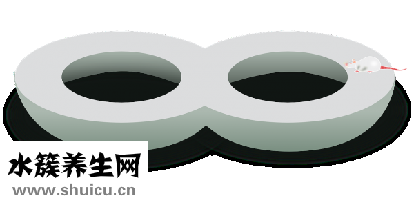 怎么辨別野生甲魚