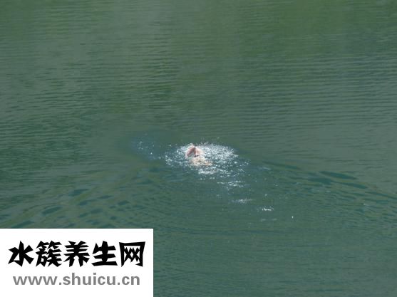 戴眼鏡怎么學游泳