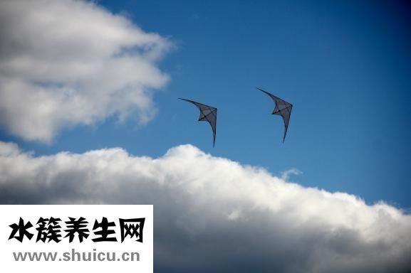 怎么教育內向的孩子