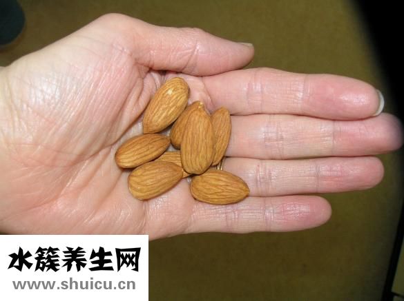 咳嗽怎么吃川貝母粉