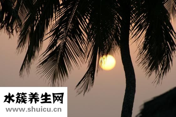 手心發(fā)粘怎么回事