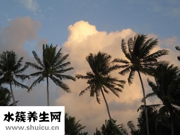 手心發(fā)粘怎么回事