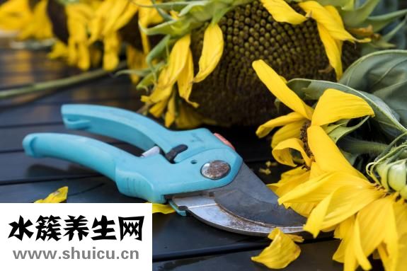 怎么使指甲變好看