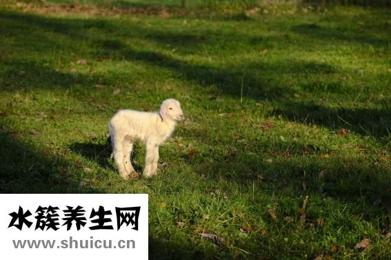 怎么才能治療早泄