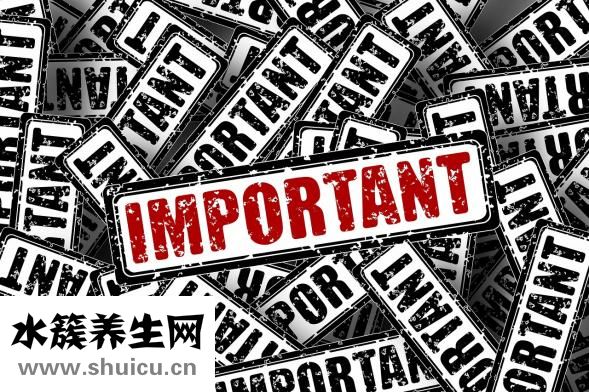 南海子麋鹿苑怎么走