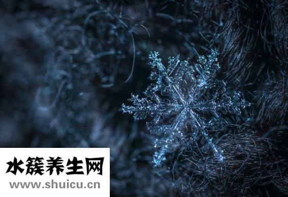 雪花氣墊怎么用