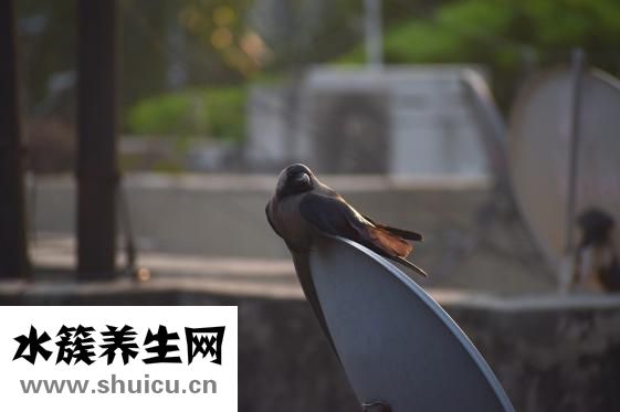 寶寶腳凍了怎么辦